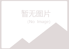 丁青县紫山能源有限公司